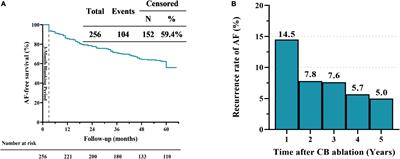 Cryoballoon Ablation for Treatment of Atrial Fibrillation in a Chinese Population: Five-Year Outcomes and Predictors of Recurrence After a Single Procedure